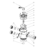 Rotor Waterco avec spider pour pompes de piscine, référence 6214582.