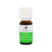 Huile parfumée à l'eucalyptus pour sauna et détente, 10 ml, Emendo.