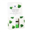 Flacon de parfum d'été pour spa gonflable, sauna et spa, 10 ml, à l'arôme de menthe fraîche.
