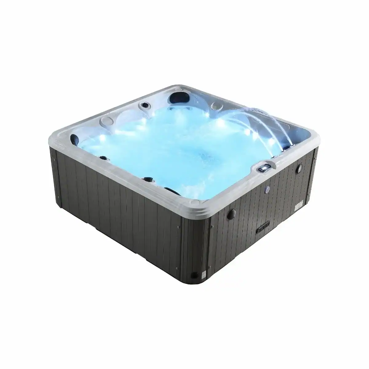 Piscine avec jacuzzi et éclairage LED pour la détente et le luxe. Parfait pour un usage domestique et le jardin.