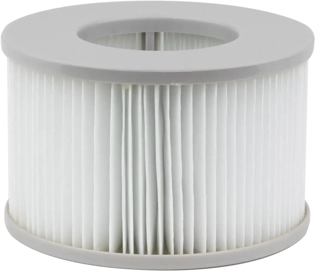 Lot de filtres MSpa pour spas, 2 pièces, adapté pour une qualité d'eau optimale.