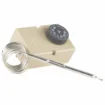 Sonde antigel pour piscines, régulation de la température et protection contre le gel.