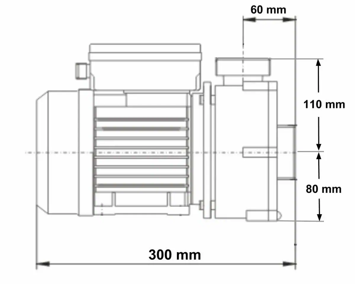 Pompe de circulation pour spa de 0,33 CV, conception compacte, 300 mm de long.
