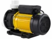 Pompe de circulation spa LX TDA100, 1 CV pour la circulation de l'eau de piscine, économe en énergie et durable.