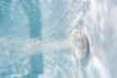 Spa Verto Cocoon avec jets d'eau pour 6 personnes.