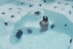 Robot nettoyeur pour piscines, nettoyeur de piscine automatique.