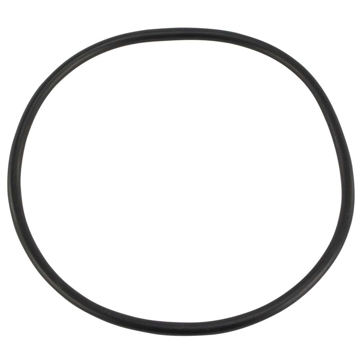 Joint torique pour couvercle de filtre à sable Astral Cantabric