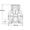 LX TDA200 Pompe de massage pour spa 2 CV - 1 vitesse