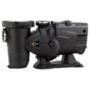 DAB E-Swim 300 M pompe à piscine variable